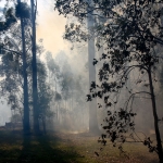 Firesticks Training at Yarrawarra Cultural Centre May 2014 - Burn 10