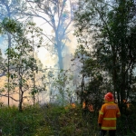 Firesticks Training at Yarrawarra Cultural Centre May 2014 - Burn 8