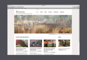 Firesticks website with current news stories