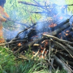 Image 9: First pile burn of coral trees